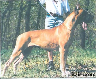 Ch Onarah Des Terres De La Rairie