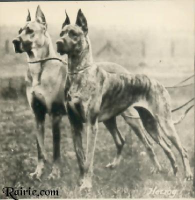 Gloria Von Mecklenburg