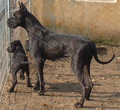 Ripley Du Ruisseau De Montbrun