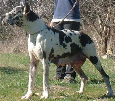 Penelope Du Mourre D�agnies