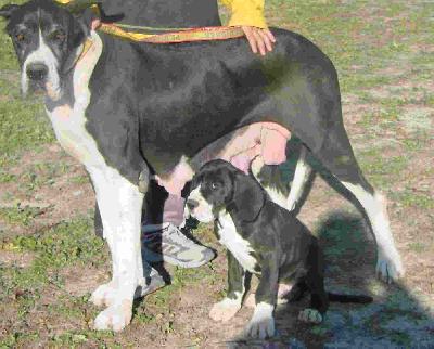 Reine De Saint Paul De Mourre Frais