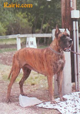 Ch Or Et Argent Des Terres De La Rairie