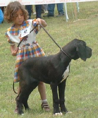 Testarossa Du Mourre D�agnies