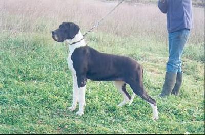 Princesse Du Mourre Dagnies