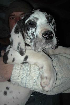 Posa2002110301 De Beauderey