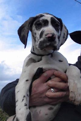 Posa2002110303 De Beauderey