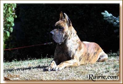 Tithan Des Terres De La Rairie