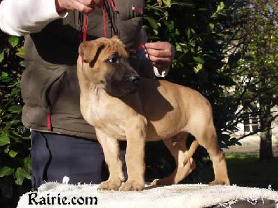 Trey Des Terres De La Rairie