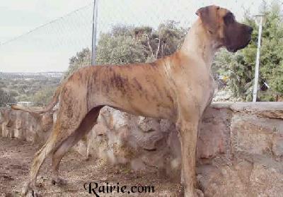 Ch Thessa Des Terres De La Rairie