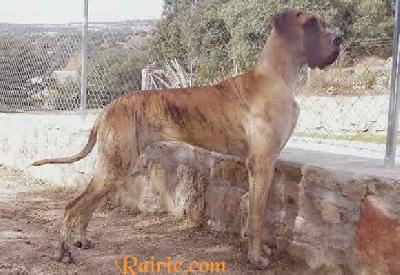 Ch Thessa Des Terres De La Rairie