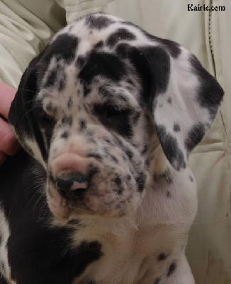 Tetiaroa Des Terres De La Rairie