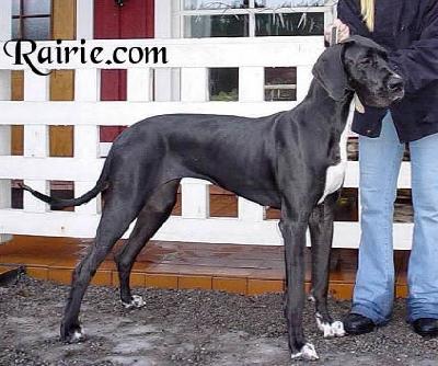 Taika-tuuli Des Terres De La Rairie