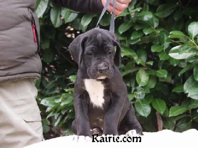 Taika-tuuli Des Terres De La Rairie