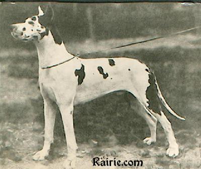 Ch Prinz Fuchs