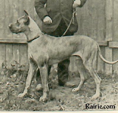 Aegis Von Der Rhoen-gloria