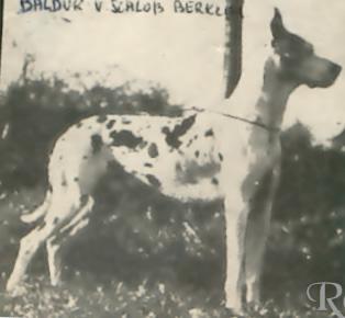 Baldur Von Schloss Berkeim