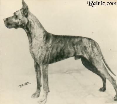 Fant Von Falkenhorst