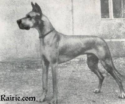 Dux Von Greiffenhorst