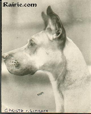 Ch Christa Vom Simbach