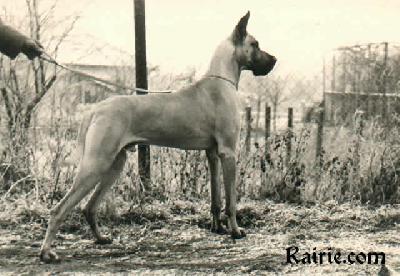 Jack Von Der Kreuzschanze