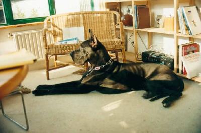 Iargos Des Terres De La Rairie