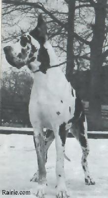 Mouche Mouche Von Der Burg Diana