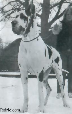 Lindenblute Von Der Burg Diana