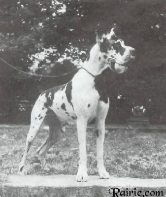 Ilonka Von Der Burg Diana