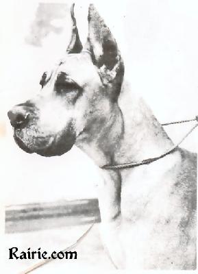 Lakme Du Gui De La Michardiere