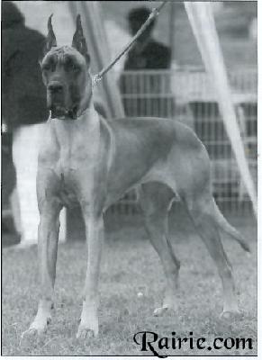 Ch Jaglane Des Terres De La Rairie