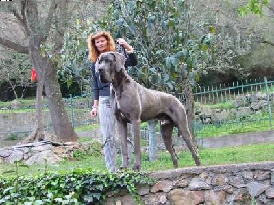 Jeremis Vom Hause Wagner