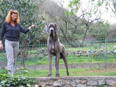 Jeremis Vom Hause Wagner