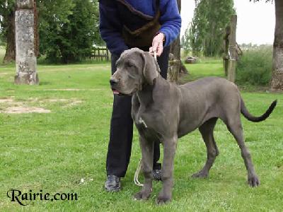 Jeunesse Vom Hause Wagner