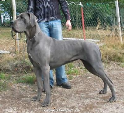 Jeunesse Vom Hause Wagner