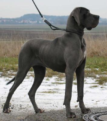 Jouvence Vom Hause Wagner