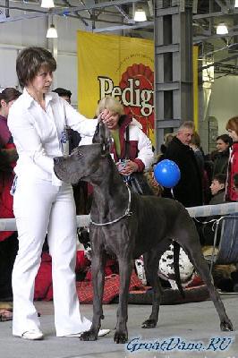 Ch Jugend Vom Hause Wagner