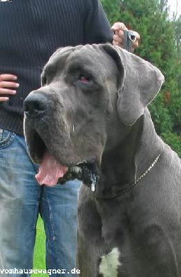 Jaques Vom Hause Wagner