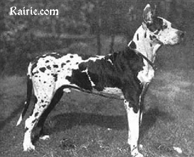 Prinz Von Der Paulsburg