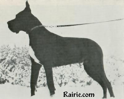 Quiz Von Furst Bismarck