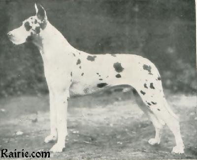 Caesar Obertraubling