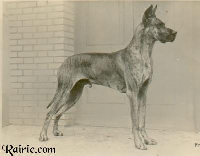 Ingo Von Falkenhorst