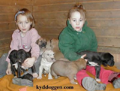 Valena Von Schlesien