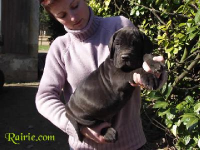 Urking Des Terres De La Rairie