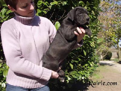 Utopia Des Terres De La Rairie