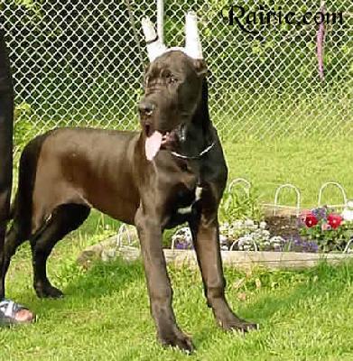 Una Des Terres De La Rairie