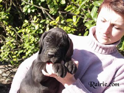 Una Des Terres De La Rairie