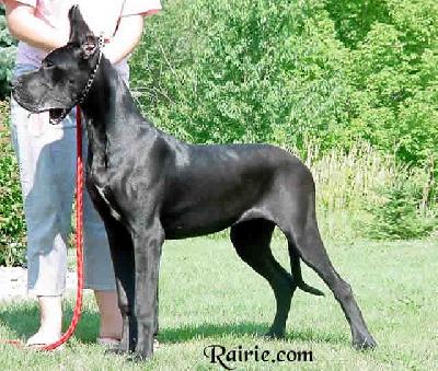 Una Des Terres De La Rairie