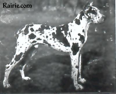 Sarto Von Lichtenrade