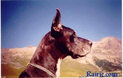 Odyna Des Terres De La Rairie