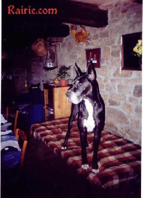 Odyna Des Terres De La Rairie